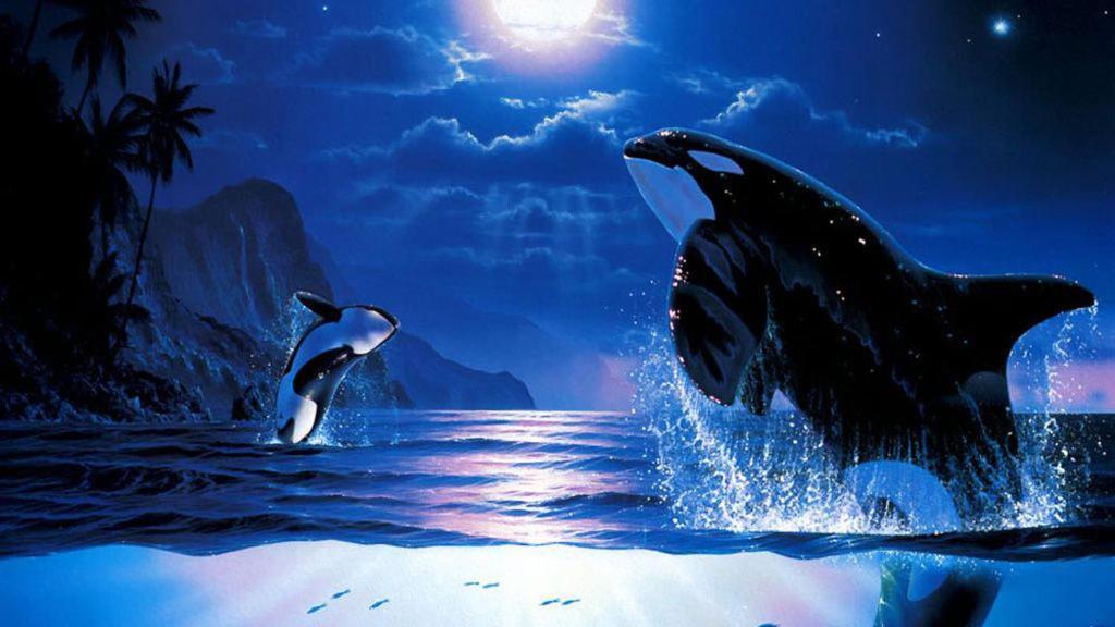 The Orca Inn ฟรายเดย์ฮาร์เบอร์ ภายนอก รูปภาพ